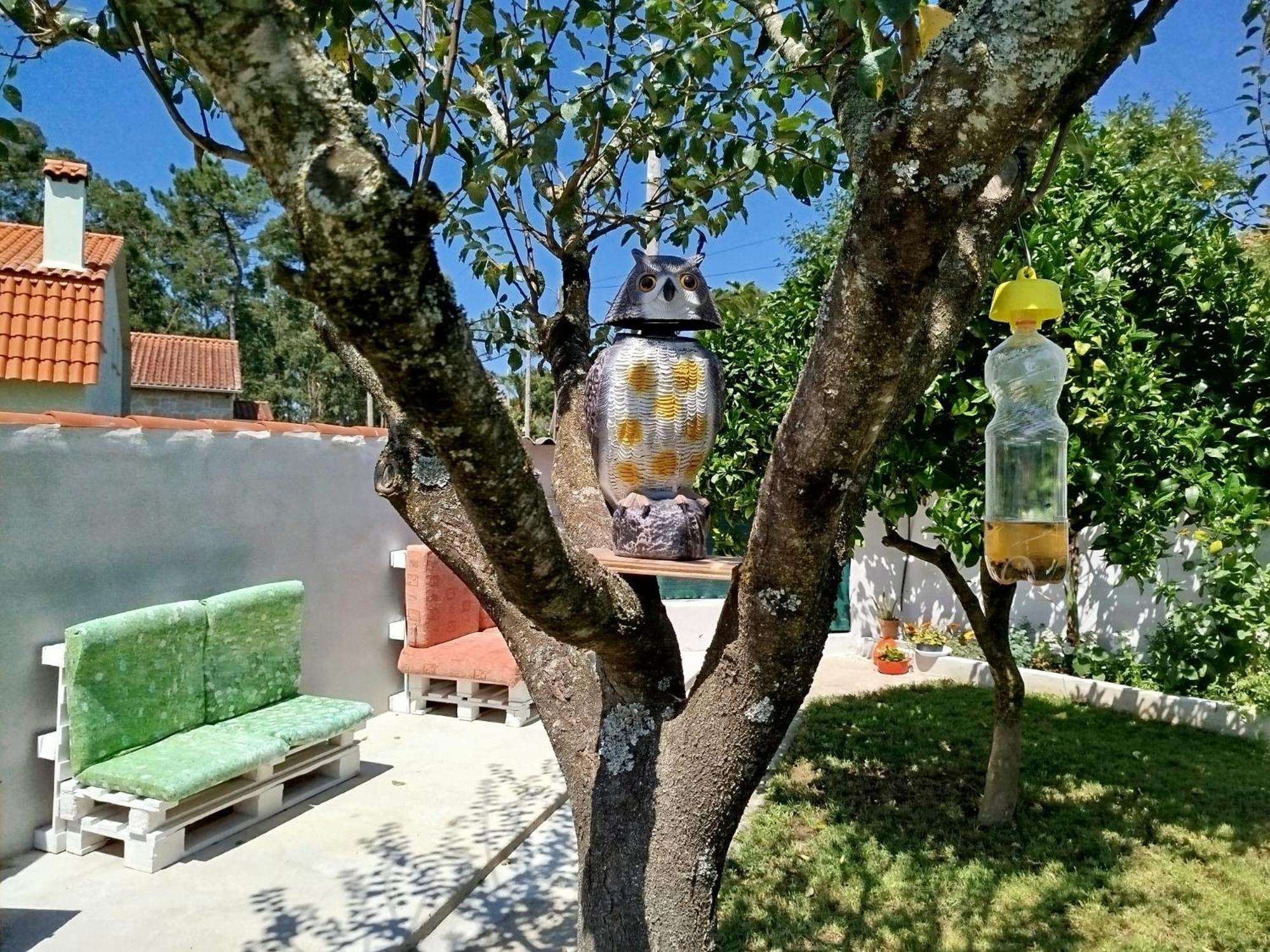 A Telleira Villa Rosal Екстериор снимка
