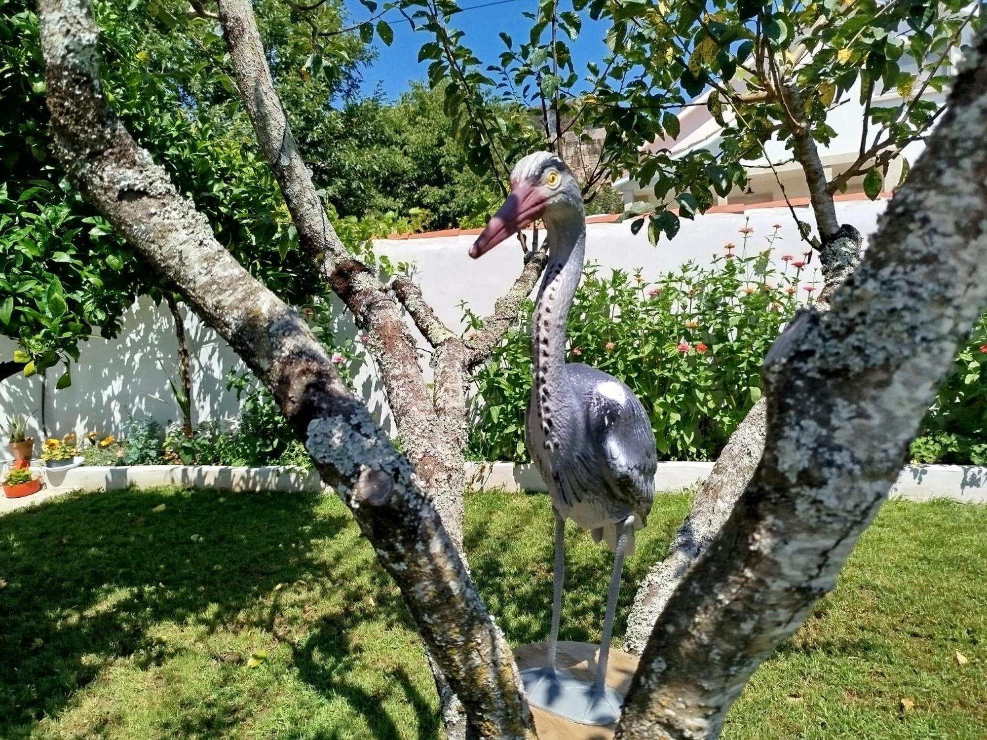 A Telleira Villa Rosal Екстериор снимка